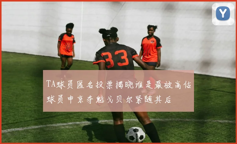 TA球员匿名投票揭晓谁是最被高估球员申京夺魁戈贝尔紧随其后