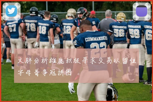 文胖分析雄鹿积极寻求交易以留住字母哥争冠拼图